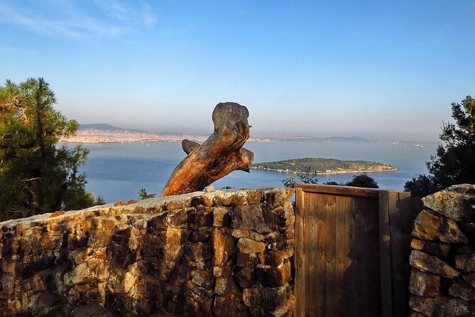Princes Island Full Day Tour - Istanbul return and the shopping stop: manage the last hour