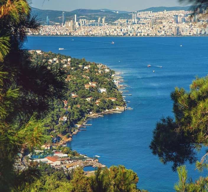 Princes Island Full Day Tour with Lunch - Sailing the Bosphorus: Topkapı Palace and the Maiden’s Tower Views