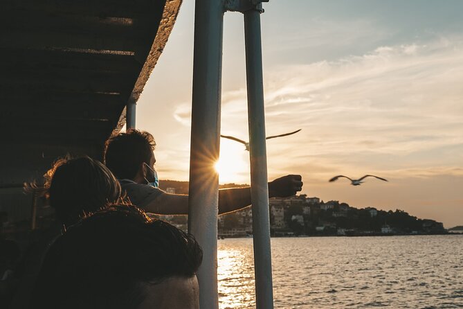 Princes' Islands Cruise with Lunch and Transfer Full-Day Tour - Electric bikes and scooters on Büyükada: optional, not included