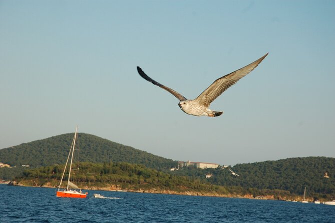 Princes' Islands Cruise with Lunch and Transfer Full-Day Tour - Meeting point and transfers: the part that can sour the day