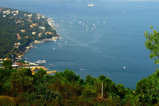 Princes' Islands Tour from Istanbul - Princes Islands by boat: what kind of day it is