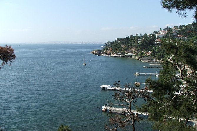 Princes' Islands Tour from Istanbul - Morning departure, pickup, and how to protect your schedule