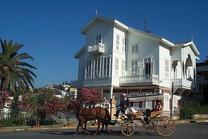 Princes' Islands Tour from Istanbul - Buyukada Tabiat Parkı: your first island taste