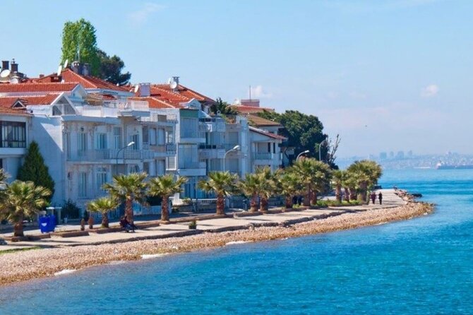 Princes Islands Tour WITH Private Boat, optional Pickup & Lunch - Leaving Taksim Harbor for the Sea of Marmara