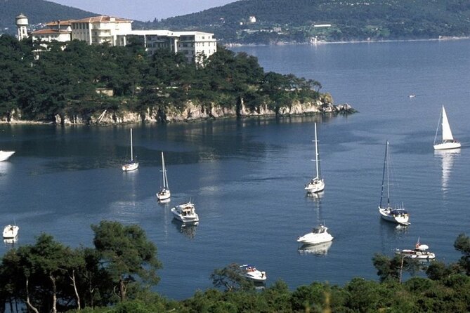 Princes Islands Tour WITH Private Boat, optional Pickup & Lunch - Return cruise to Istanbul and the optional leather shop