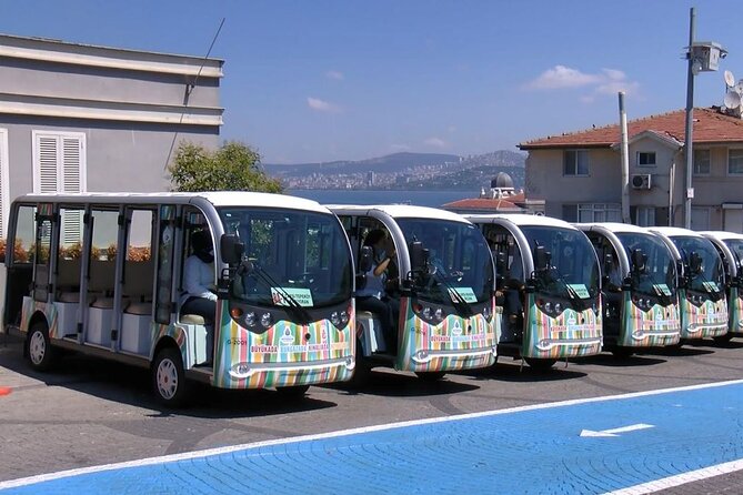 Princes Islands Tour WITH Private Boat, optional Pickup & Lunch - Kınalıada, Henna Island, and why it’s a great first stop
