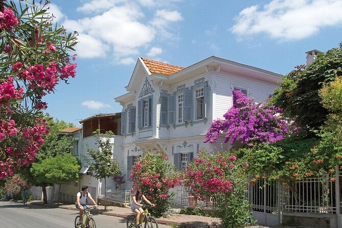 Princess Island Tour Full Day - Büyükada (Princess Island): Mansions, Electric Car, and Lunch