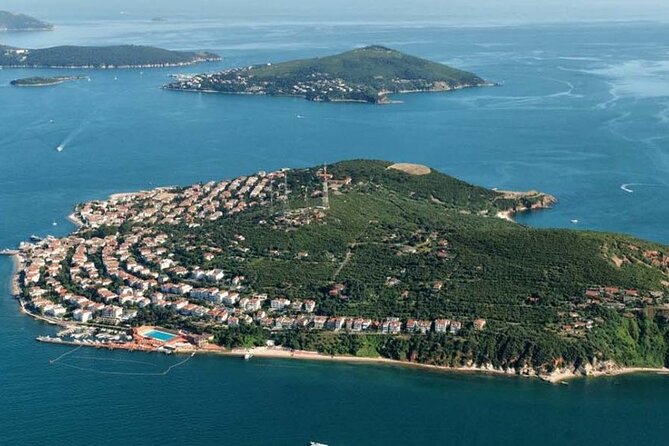 Princess Island Tour with Lunch & Ferry Ride - Horse-drawn carriage on the island: fun, but plan for a slower pace