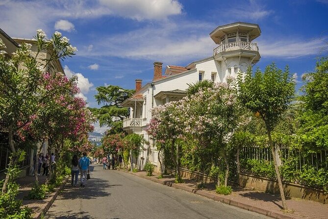 Princess Islands Daily Tour from Istanbul - Büyükada: car-free calm, pine paths, and Aya Yorgi views