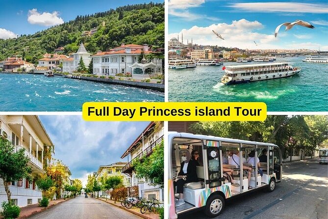 Princess Islands Daily Tour from Istanbul - Pickup, timing, and group size you can plan around