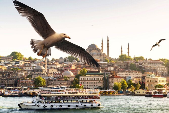 Princess Islands Tour With Lunch and Guide - Büyükada: four-course lunch, then beach time and a swim option