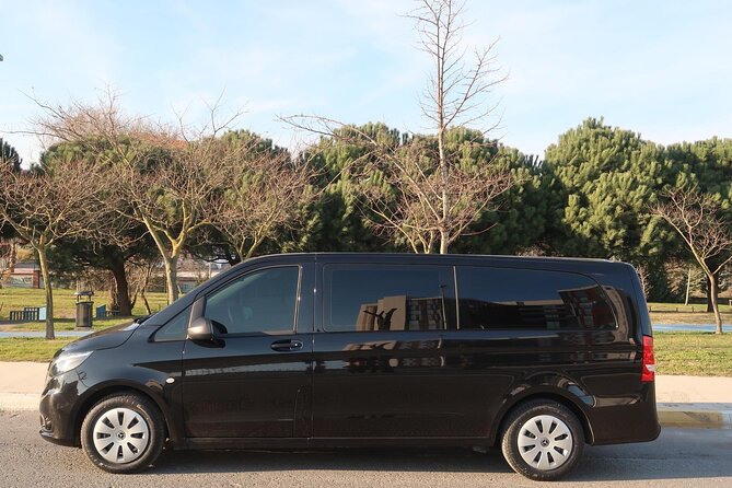 Private Airport Transfer in Istanbul - The ride itself: comfort, private space, and what to expect