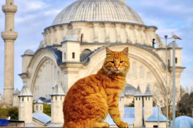 Private Cultural Tour of Istanbul: 1 or 2-Day Tailored Experience - What makes this tour different in plain terms