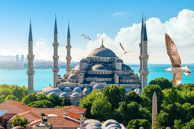 Private Cultural Tour of Istanbul: 1 or 2-Day Tailored Experience - Should you book this Istanbul 2-day private tour?
