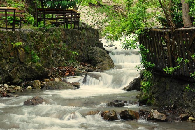 Private Day Trip From Istanbul to Lake Sapanca and Maşukiye Village - Sapanca Lake Stop: A Scenic Break, Not a Long Stay