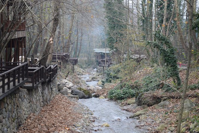Private Day Trip From Istanbul to Lake Sapanca and Maşukiye Village - Price and Value: Is $308.32 Per Person Fair?