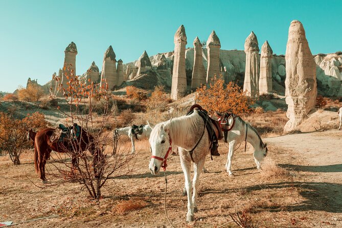 Private Day Trip to Cappadocia from Istanbul - Kaymakli Underground City: what it feels like inside the caves