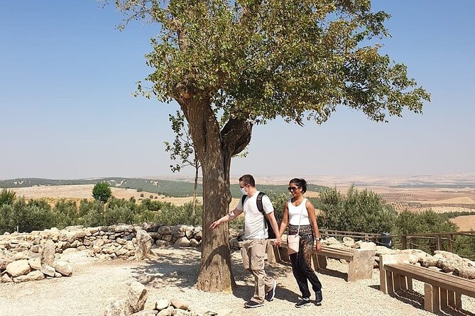 Private Göbeklitepe Tour from Istanbul - Stop 2: Şanlıurfa Archaeology and Mosaic Museum makes the region click