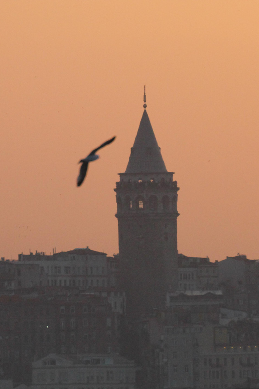 Private Guide in Istanbul Old City - Price and logistics: where the value really comes from