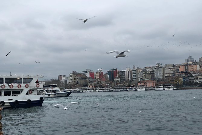 Private Guided 2 Day Istanbul Tour - Bosphorus Strait boat ride: the Europe-Asia view that resets your brain