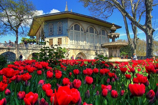 Private Guided Basilica Cistern and Topkapi Palace with Skip Line - Photo and garden moments: where to focus so your pictures look like real Istanbul