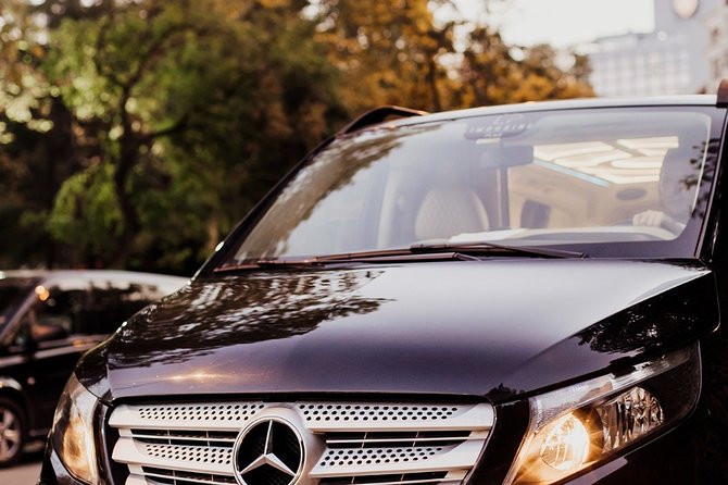 Private Istanbul Airport Transfer to Blue Mosque Sultan Ahmet - From arrivals gate to car, without the airport hassle