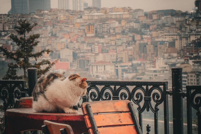 Private Istanbul Highlights Tour: 1, 2, or 3-Day Options - Bosphorus views and Beyoğlu energy on day 2
