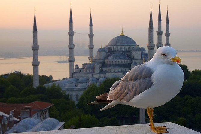 Private Istanbul Layover Tour From Airport - Pickup From IST or SAW, Plus Roundtrip Transfers