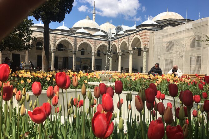 Private Istanbul Old City Walking Tour - Hagia Sophia Grand Mosque: A 1500-Year Istanbul Anchor