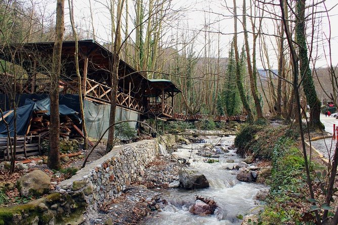 Sapanca And Masukiye Tour With Lunch - Full Day - Small-group pace and your comfort choices