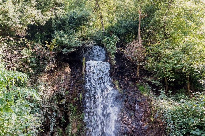 Sapanca And Masukiye Tour With Lunch - Full Day - Should you book this Sapanca and Maşukiye tour?