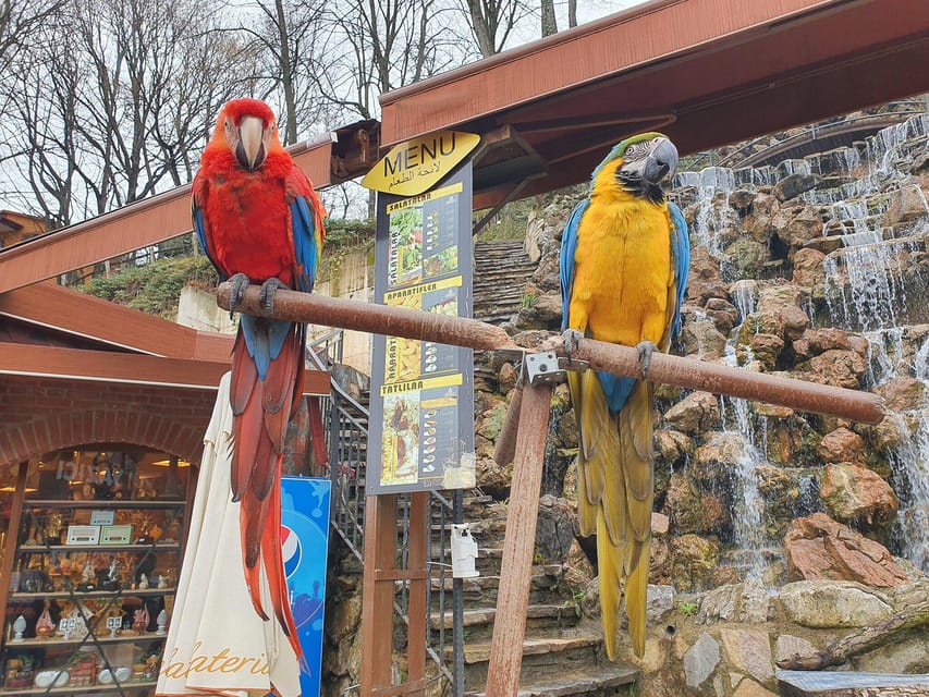 Sapanca Maşukiye tour from Istanbul - Who This Tour Fits Best, and Who Should Skip It