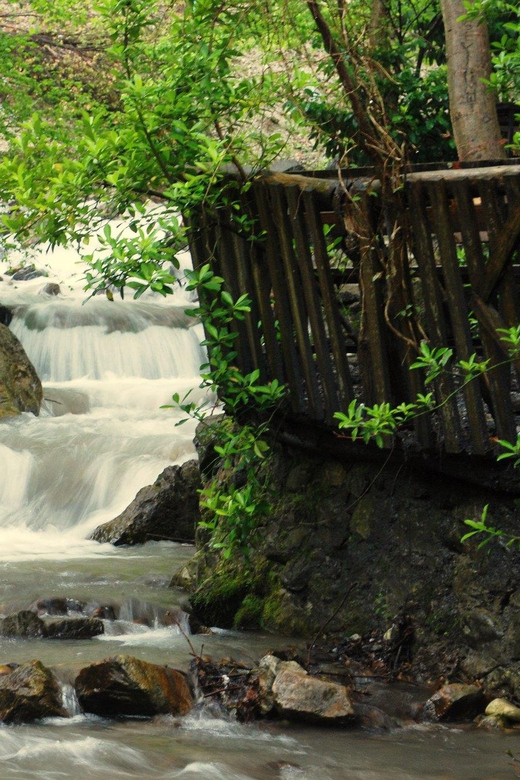 Sapanca Maşukiye tour from Istanbul - Should You Book This Sapanca Maşukiye Tour?
