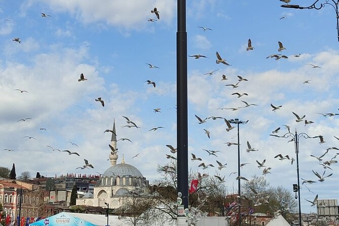 Skip Lines with Local Tour Guide Taha - Blue Mosque in natural light: Iznik tiles and 260 windows