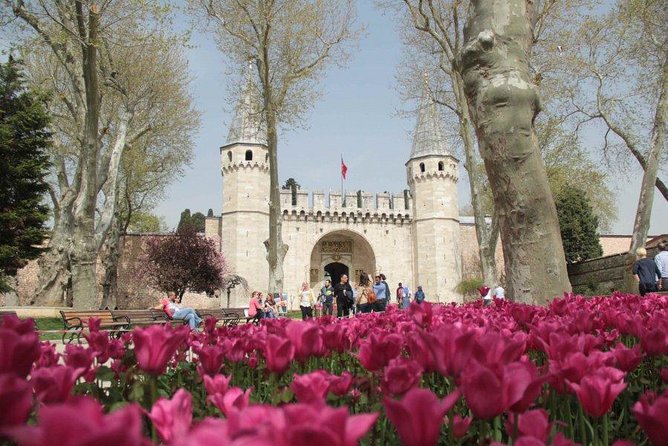 Small Group Full-Day Istanbul Old City Tour with Lunch & Tickets - 3-Course Lunch That Actually Refills Your Day