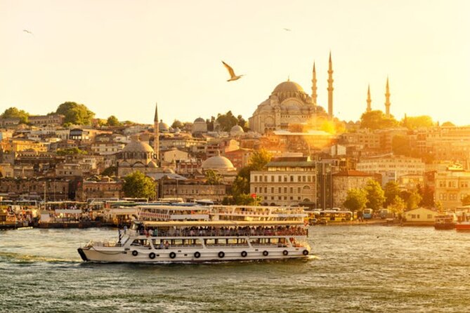 Top Sights of Istanbul: 1, 2 or 3 Day Private Guided Tour - Private, licensed guiding that helps you move through Istanbul
