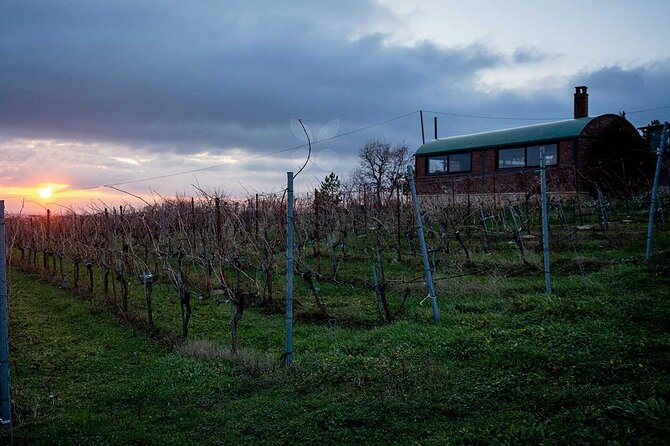VIP Full Day Wineries Tour from Istanbul - Lunch at the winery: what to plan for