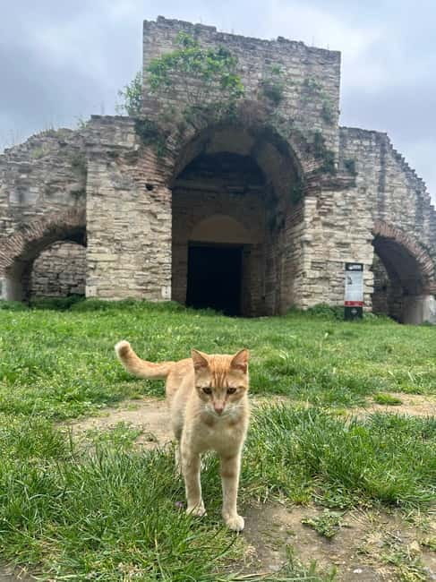 Walls of Contantinople and Blachernea Palace Tour - Practical Tips That Make the Walk Easier